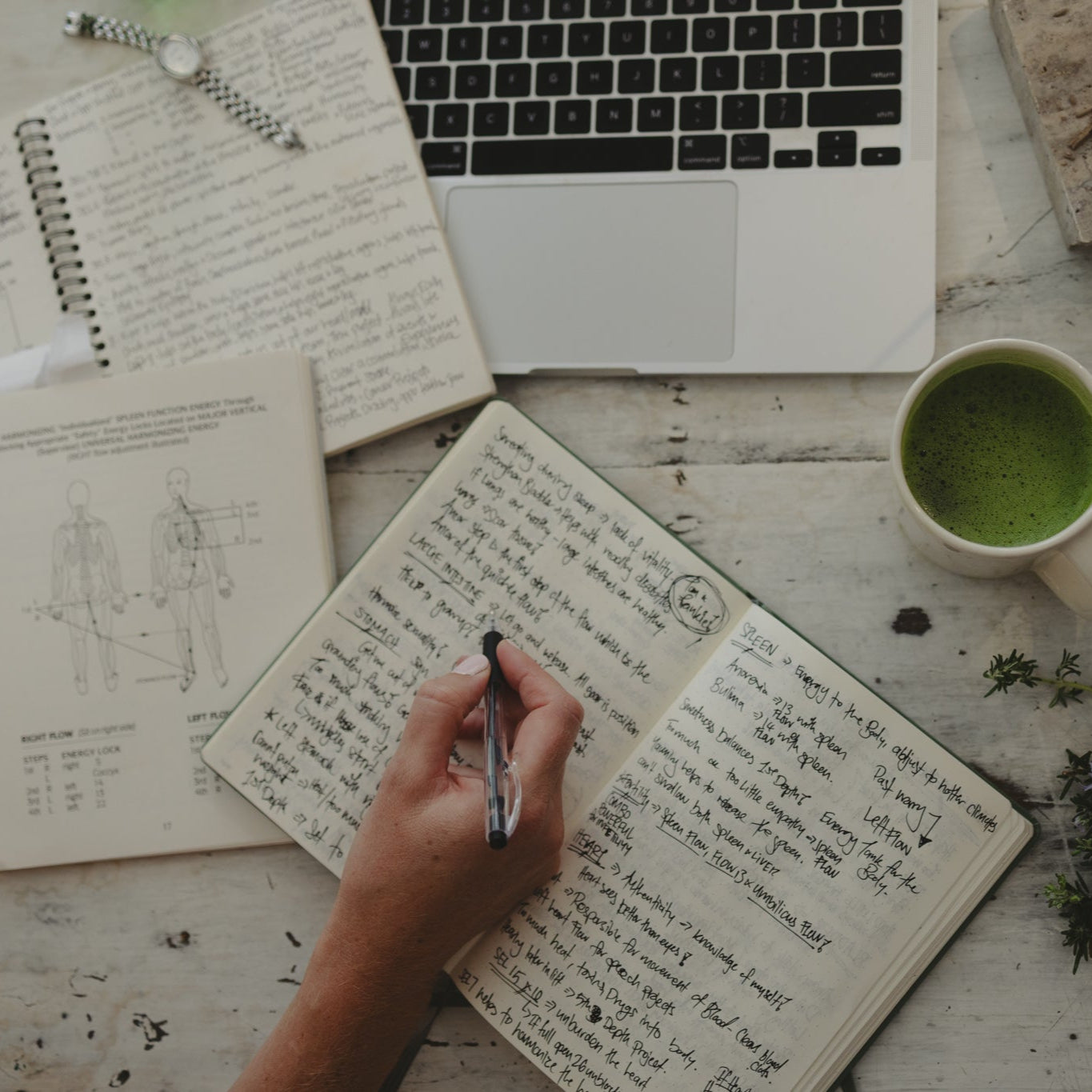 A practitioner of Jin Shin Jyutsu learning more at the 5 day Basic Seminar