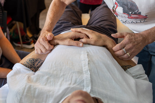 A little glimpse into our 3-Day Jin Shin Jyutsu Special Topic — Fascia