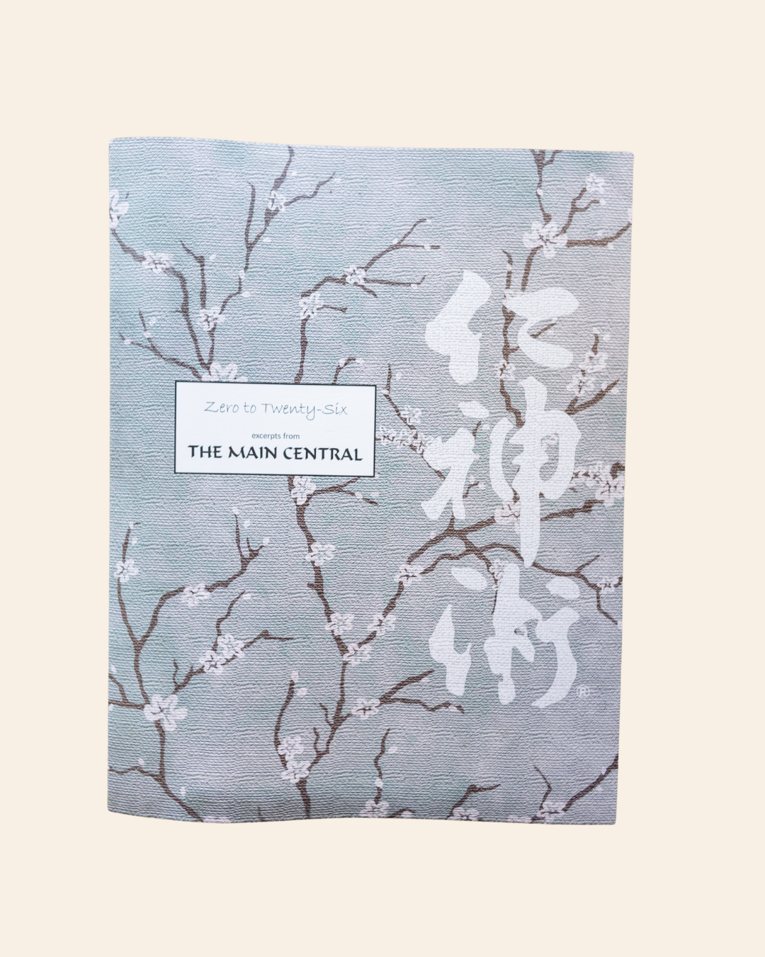 0-26 Excerpts from The Main Central